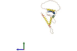 AlphaFold protein structure predicition of Mouse Recombinant Ccdc54 Protein, UniprotID Q9DAL3