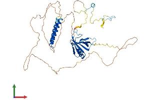 Protein Structure (PS) image for Nucleoporin 50kDa (NUP50) (AA 1-466) protein (His tag) (ABIN7561547)