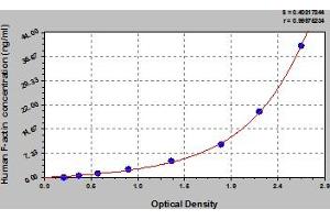 Typical Standard Curve (F-Actin ELISA 试剂盒)