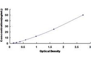 Typical standard curve (CHST9 ELISA 试剂盒)