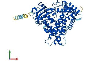 AlphaFold protein structure predicition of Mouse Recombinant Cyp2s1 Protein, UniprotID Q9DBX6 (CYP2S1 Protein (AA 1-501) (His tag))