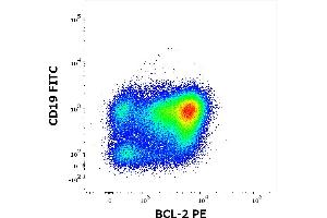 Flow Cytometry (FACS) image for anti-B-Cell CLL/lymphoma 2 (BCL2) (AA 41-54) antibody (PE) (ABIN638444)
