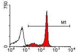 Image no. 1 for anti-CD44 (CD44) antibody (FITC) (ABIN135066) (CD44 抗体  (FITC))