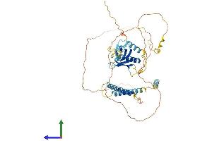 AlphaFold protein structure predicition of Mouse Recombinant Plekho2 Protein, UniprotID Q8K124