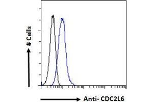 ABIN570894 Flow cytometric analysis of paraformaldehyde fixed HeLa cells (blue line), permeabilized with 0. (CDK19 抗体  (C-Term))