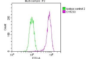 Overlay histogram showing Hela cells stained with ABIN7127616 (red line) at 1:50. (Recombinant c-MET 抗体)