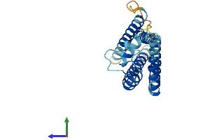 Protein Structure (PS) image for Tetraspanin 2 (TSPAN2) (AA 1-221) protein (His tag) (ABIN7560225)