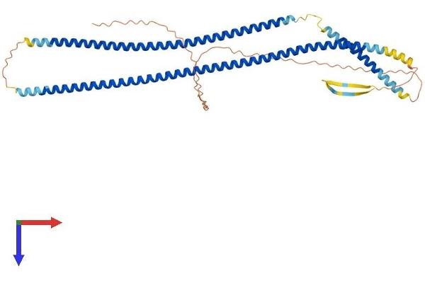 KRT15 Protein (AA 1-456) (His tag)