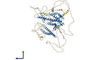 Protein Structure (PS) image for Myosin VIIA and Rab Interacting Protein (MYRIP) (AA 1-859) protein (His tag) (ABIN7554696)