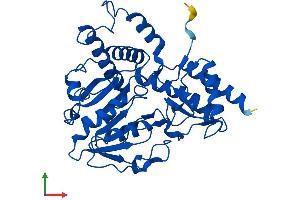 Protein Structure (PS) image for phosphoserine Aminotransferase 1 (PSAT1) (AA 1-370) protein (His tag) (ABIN7545972)