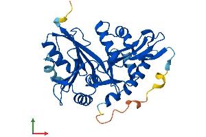 Protein Structure (PS) image for Glycine-N-Acyltransferase-Like 1 (GLYATL1) (AA 1-302) protein (His tag) (ABIN7548118)