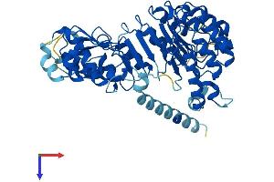 AlphaFold protein structure predicition of Mouse Recombinant Lrrc14b Protein, UniprotID Q3UJB3