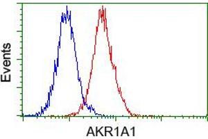 Image no. 4 for anti-Aldo-Keto Reductase Family 1, Member A1 (Aldehyde Reductase) (AKR1A1) antibody (ABIN1496543) (AKR1A1 抗体)