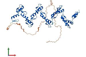 Protein Structure (PS) image for Zinc Finger Protein 71 (ZNF71) (AA 1-489) protein (His tag) (ABIN7545599)