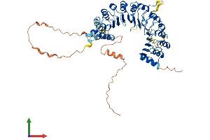 AlphaFold protein structure predicition of Mouse Recombinant Fbxl6 Protein, UniprotID Q9QXW0