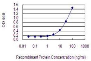 Detection limit for recombinant GST tagged AFF2 is 0. (AFF2 抗体  (AA 109-219))