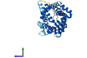 Protein Structure (PS) image for Solute Carrier Family 25 (Mitochondrial Carrier, Adenine Nucleotide Translocator), Member 31 (SLC25A31) (AA 1-315) protein (His tag) (ABIN7551909)