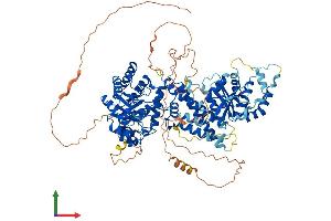 Protein Structure (PS) image for Meningioma Expressed Antigen 5 (Hyaluronidase) (MGEA5) (AA 1-916) protein (His tag) (ABIN7554858)
