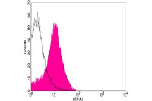 Flow cytometric analysis of HEK293 cells using ATP1A1 Antibody, pAb, Rabbit (ABIN398982, shaded histogram) or with an isotype control antibody (ABIN398653, open histogram), followed by R-PE conjugated anti-rabbit IgG. (ATP1A1 抗体  (AA 800-850))