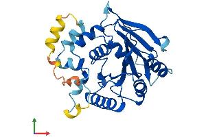 Protein Structure (PS) image for GTP-Binding Protein 8 (GTPBP8) (AA 1-284) protein (His tag) (ABIN7548139)