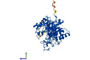 AlphaFold protein structure predicition of Mouse Recombinant Bhmt2 Protein, UniprotID Q91WS4