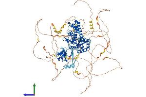 Protein Structure (PS) image for Cbl Proto-Oncogene B, E3 Ubiquitin Protein Ligase (CBLB) (AA 1-982) protein (His tag) (ABIN7552901)