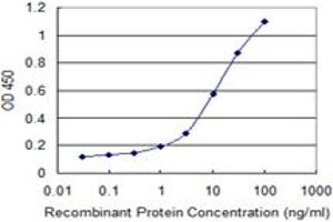 Detection limit for recombinant GST tagged COLEC12 is 0. (COLEC12 抗体  (AA 101-200))