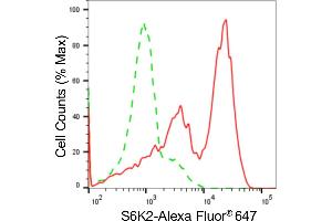 Flow cytometric analysis of S6K2 expression in HAP-1 cells using S6K2 antibody (ABIN7800227), 1:2,000). (Recombinant RPS6KB2 抗体)