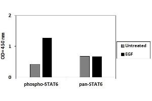 ELISA image for Signal Transducer and Activator of Transcription 6, Interleukin-4 Induced (STAT6) ELISA Kit (ABIN4889795)