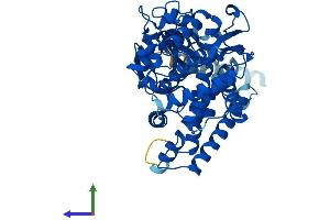 AlphaFold protein structure predicition of Mouse Recombinant Cyp2c40 Protein, UniprotID P56657