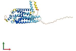 Protein Structure (PS) image for Sphingosine-1-Phosphate Receptor 4 (S1PR4) (AA 1-384) protein (His tag) (ABIN7545873)