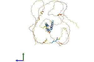 Protein Structure (PS) image for Iroquois Homeobox Protein 5 (IRX5) (AA 1-484) protein (His tag) (ABIN7561644)