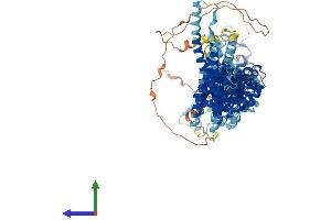 Protein Structure (PS) image for Nucleoporin 107kDa (NUP107) (AA 1-925) protein (His tag) (ABIN7554767)