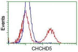 Image no. 4 for anti-Coiled-Coil-Helix-Coiled-Coil-Helix Domain Containing 5 (CHCHD5) antibody (ABIN1497488) (CHCHD5 抗体)