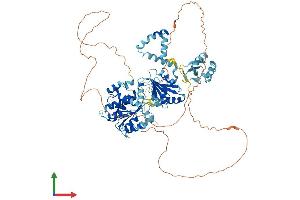AlphaFold protein structure predicition of Human Recombinant DDX21 Protein, UniprotID Q9NR30