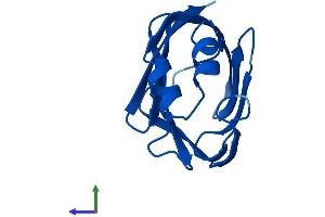 Protein Structure (PS) image for Retinol Binding Protein 7, Cellular (RBP7) (AA 1-134) protein (His tag) (ABIN7551301)