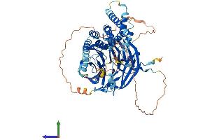 Protein Structure (PS) image for Katanin P80 (WD Repeat Containing) Subunit B 1 (KATNB1) (AA 1-658) protein (His tag) (ABIN7564331)