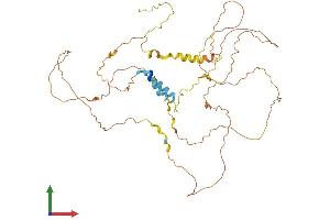AlphaFold protein structure predicition of Mouse Recombinant Fam222a Protein, UniprotID Q6PGH4
