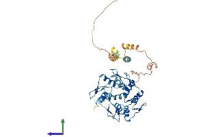 Protein Structure (PS) image for Zinc Finger Protein 558 (ZNF558) (AA 1-402) protein (His tag) (ABIN7545563)