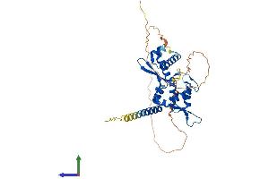 Protein Structure (PS) image for Melanoma Antigen Family A, 10 (MAGEA10) (AA 1-369) protein (His tag) (ABIN7549292)