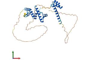 Protein Structure (PS) image for Sine Oculis-Related Homeobox 3 (SIX3) (AA 1-333) protein (His tag) (ABIN7563957)