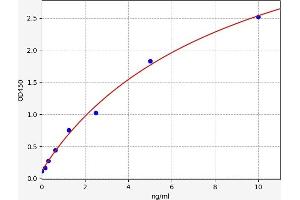 Typical standard curve (Stathmin 1 ELISA 试剂盒)