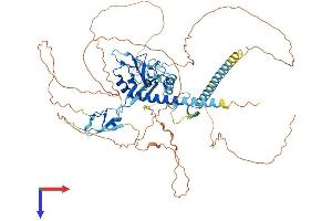 AlphaFold protein structure predicition of Human Recombinant ZMYM5 Protein, UniprotID Q9UJ78
