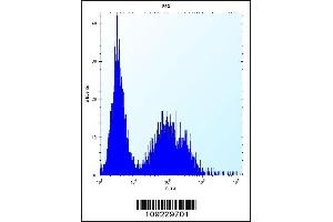 Flow cytometric analysis of 293 cells (right histogram) compared to a negative control cell (left histogram). (TSSK6 抗体  (C-Term))