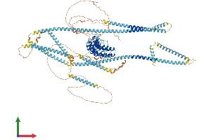 AlphaFold protein structure predicition of Human Recombinant ANKRD24 Protein, UniprotID Q8TF21 (ANKRD24 Protein (AA 1-1146) (His tag))