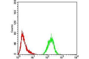 Flow cytometric analysis of Hela cells using ATG13 mouse mAb (green) and negative control (red).