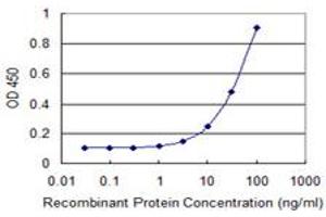 Detection limit for recombinant GST tagged TBX21 is 1 ng/ml as a capture antibody. (T-Bet 抗体  (AA 387-486))