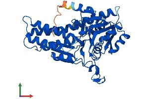 Protein Structure (PS) image for Methylthioribose-1-Phosphate Isomerase 1 (Mri1) (AA 1-369) protein (His tag) (ABIN7560575)