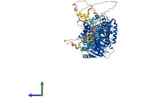 Protein Structure (PS) image for Solute Carrier Family 12 (Potassium-Chloride Transporter) Member 4 (SLC12A4) (AA 1-1085) protein (His tag) (ABIN7565092)