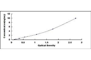 Typical standard curve (KIF1A ELISA 试剂盒)